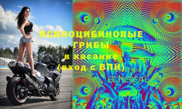 MESCALINE Алзамай