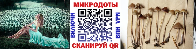 Псилоцибиновые грибы ЛСД  blacksprut вход  Рошаль  купить  сайты 